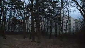 TV:ssä tänään: Suomalainen kauhunaapuri piinasi vuosia – tapaus päättyi tuomioon 2 TV:ssä tänään: Suomalainen kauhunaapuri piinasi vuosia – tapaus päättyi tuomioon