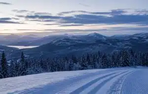 Suomalaisnäyttelijä juhli kansainvälistä voittoa Cannesissa – ”Olen sanaton”